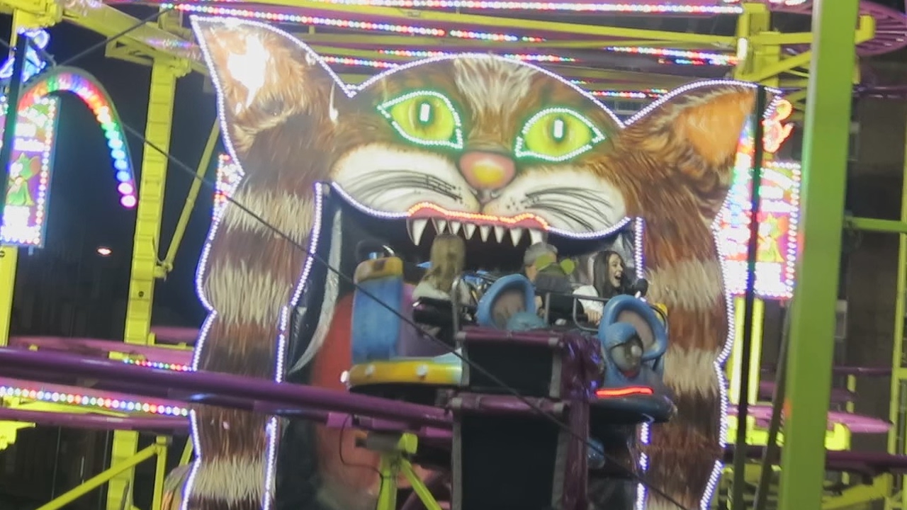 Ratón Vacilón Con Gato Comilón de noche - Feria de Albacete 2016