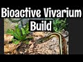 Biodude Bioactive Vivarium Build for Red-Sided Garter Snakes