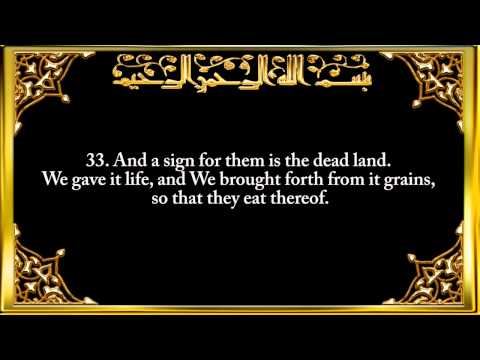 036 Surah Ya Sin