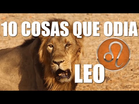 Video: ¿Qué les pasa a los leo?