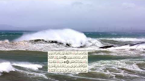 275 -page سعد الغامدي - -سورة النحل -Les abeilles (An-Nahl) 16