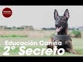 2 secreto educacin canina