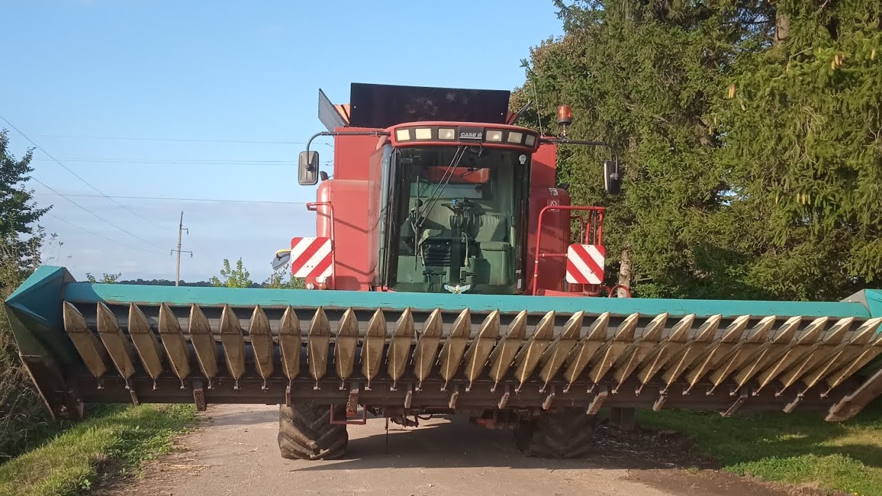 Наростка на бункер Кейсі 2388. Обмолот соняшника 🌻 2023