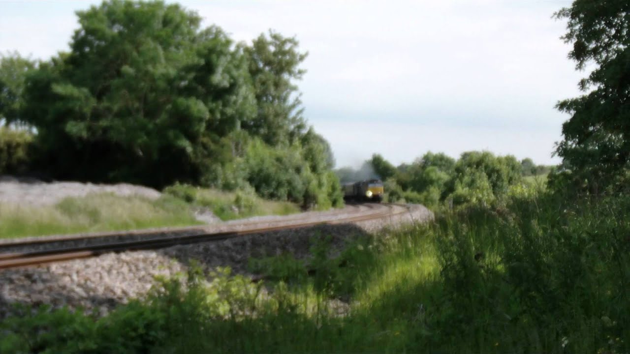 The Devonian at Whiteball Tunnel