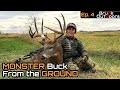 Monster BOW BUCK From The GROUND at 12 Yards!