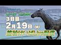 笠松けいばライブ配信R8.2.19