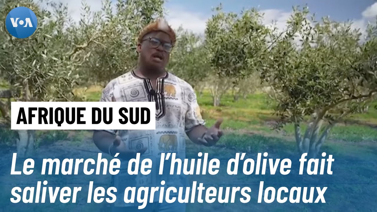 L'Afrique du Sud, du vin à l'huile d'olive : une nouvelle voie pour l'économie