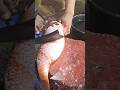 Amazing Carp Fish Cutting Skills 🐟 | Traditional Fish Market Cutting | #shorts