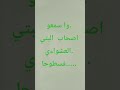 وجدو راسكم صحاب البني فسطوحا وجدو راسكم صحاب البني فسطوحا