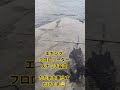 エギング フロロリーダースナッチ