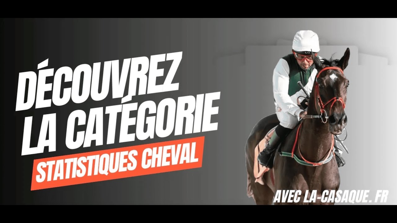 À la découverte de la catégorie Statistiques du Cheval