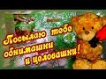 Тебе обнимашки и целовашки! Добрый вечер!