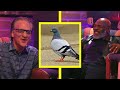 Why Mike Tyson LOVES Pigeons w/ Bill Maher