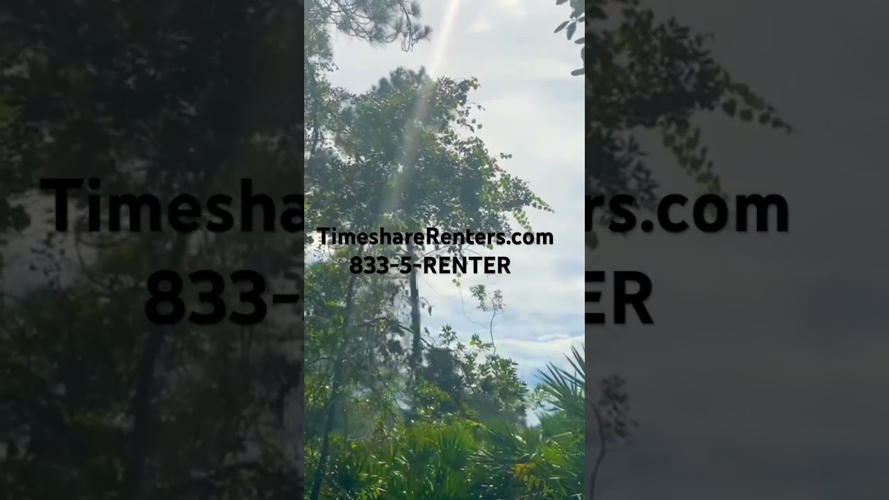 Timeshare Talk | Start renting your timeshare, go to TimeshareRenters.com TODAY! | 