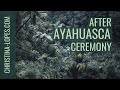 Ayahuasca Part 3: After The Ceremony