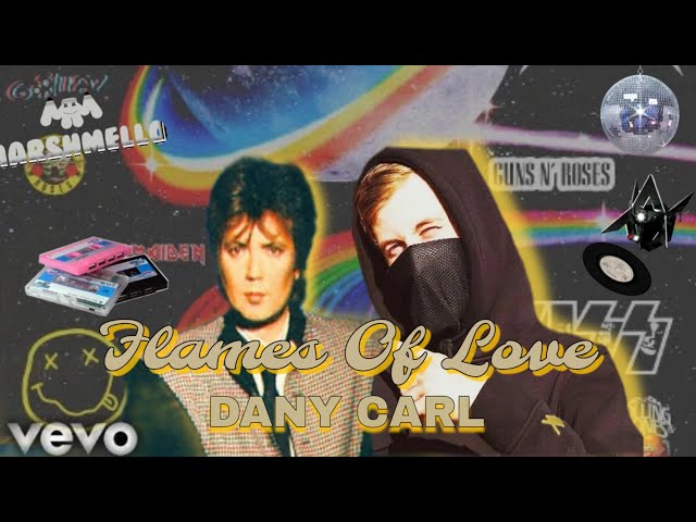 Alan Walker Style & Fancy - Flames Of Love || Remix By DANY CARL class=