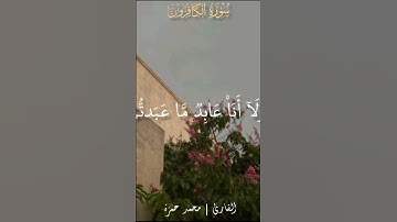 قل يا أيها الكافرون #تلاوة_خاشعة #تلاوات #قران_كريم #راحة_نفسية #تلاوه #لايك #حالات_واتس #قران