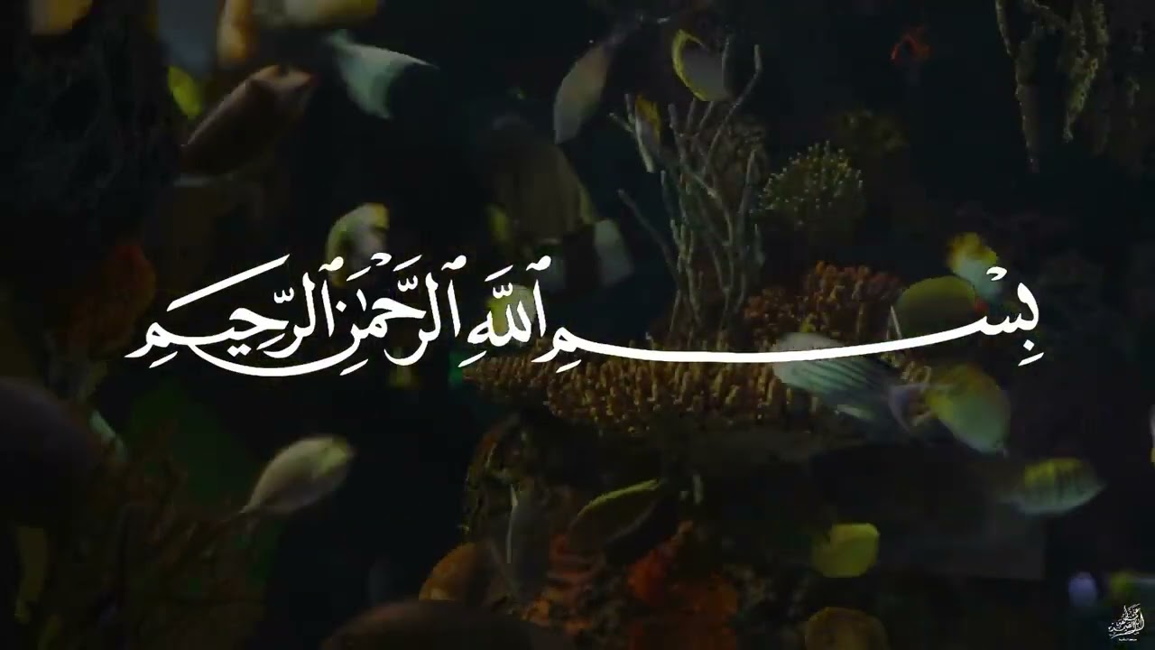 تلاوة رهيبة لسورة يس بصوت الشيخ عبدالباسط عبدالصمد - Surah Yasin Abdulbasit Abdussamad