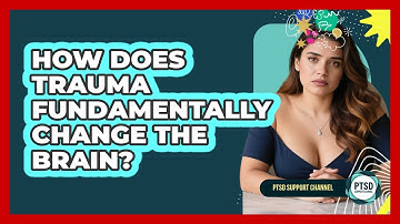 How Does Trauma Fundamentally Change The Brain? - PTSD Support Channel