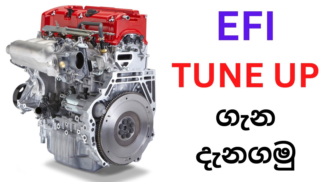 Let's learn about EFI Tuneup EFI Tuneup ගැන දැනගමු YouTube