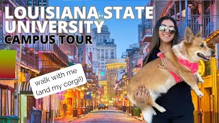 Louisiana State University Campus Tour | Walk with Me & My Corgi in 4K