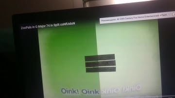 ZooPals in G Major 74 Spilt coNfUslon