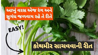 એકદમ સરળ રીતે કોથમીર એજ લીલા કલર અને સુગંધ સાથે આખું વરસ સાચવી શકાય How to store coriander Leaves