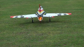 Freewing Motion rc LED afterburner test