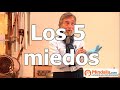 Los 5 miedos - Fidel Delgado