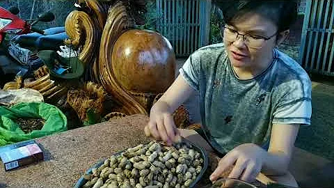 Cch trng u phng/lc truyn thng. Life of Peanut