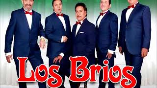 Los Brios invitan a celebrar el 488 Aniversario de la Fundación de Chilapa.