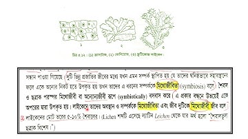 EUGSC,Class:xi,Sub:Bio1st paper(Lec:22),Chap:5(Part-9),Shayla Parvin,(10.4.2021)