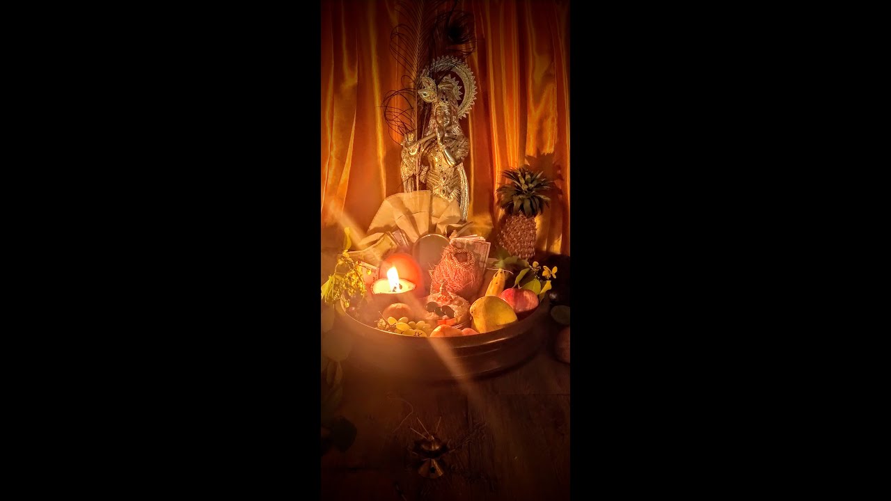 Vishu Vlog | Lockdown Vishu