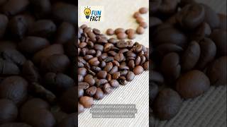 Fakta unik tentang kopi #beritaterkini #faktaunik #faktamenarik #kopi #kopihitam