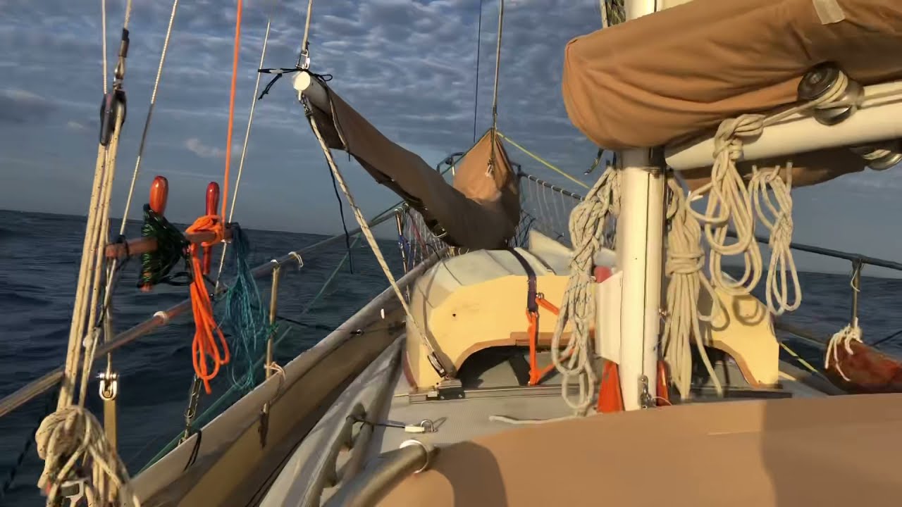 Wide Bay Bar: with Robbie without a catchphrase