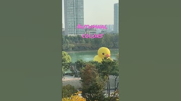 Thumbnail of Autumnal Colors   #shorts  #blackpink #How do you like that #Meditation #healing #IPRAYFORITAEWON
