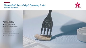 Tissue Tek Accu Edge Grossing Forks Grossing with forks