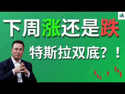 不要错过这一波行情 必看! 为你揭晓下周涨跌分析 特斯拉可能终于见底 #美股分析