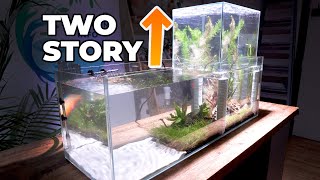 Two Story Fish Tank Experiment #Shorts