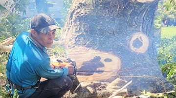 cùng anh Do đến long xuyên của cây còng #cưacây vùng 7 núi