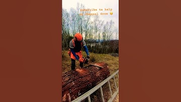 Stihl MS500i: The Future of Log Milling Has Arrived