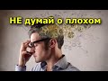 Избавляемся от плохих мыслей. 5 лучших способов.