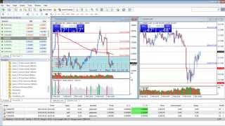 Real Trading | Thai Forex training