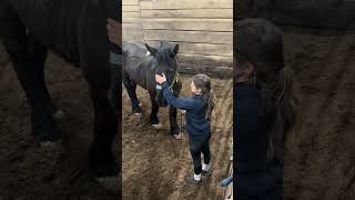 We urgently need your help.