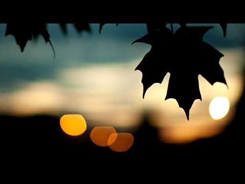 Boris Brejcha - Anthurie [HQ]