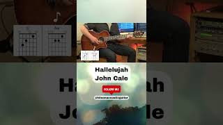 Hallelujah - Acoustic Guitar - John Cale #guitarlesson #acousticguitar #guitarcover #acousticcover
