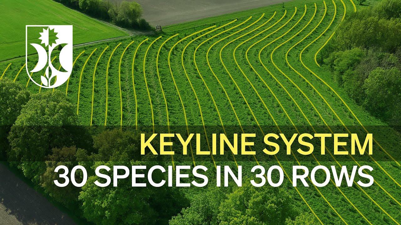 AGROFORESTRY DESIGN: 2.7 HA KEYLINE