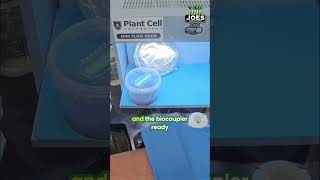 Joe Prepares His Plant Experiment Home Lab #shorts