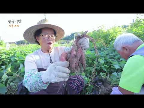 한국기행 - Korea travel_시골 부자 5부- 두 번째 황금밭 인생_#001