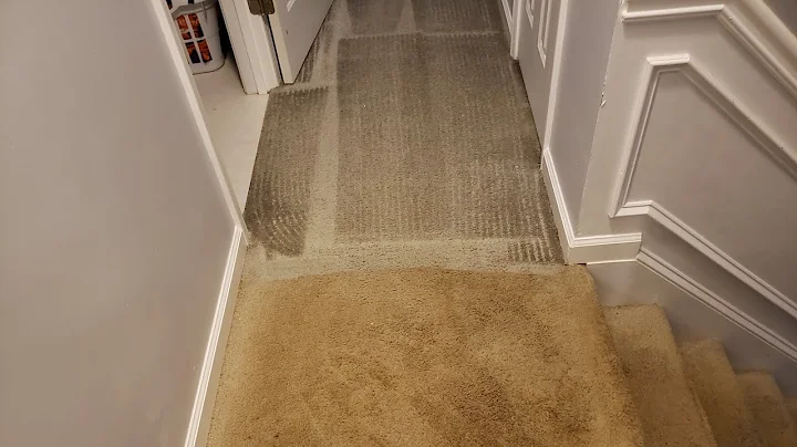 Cleaning this extremely dirty carpets with my SECR...